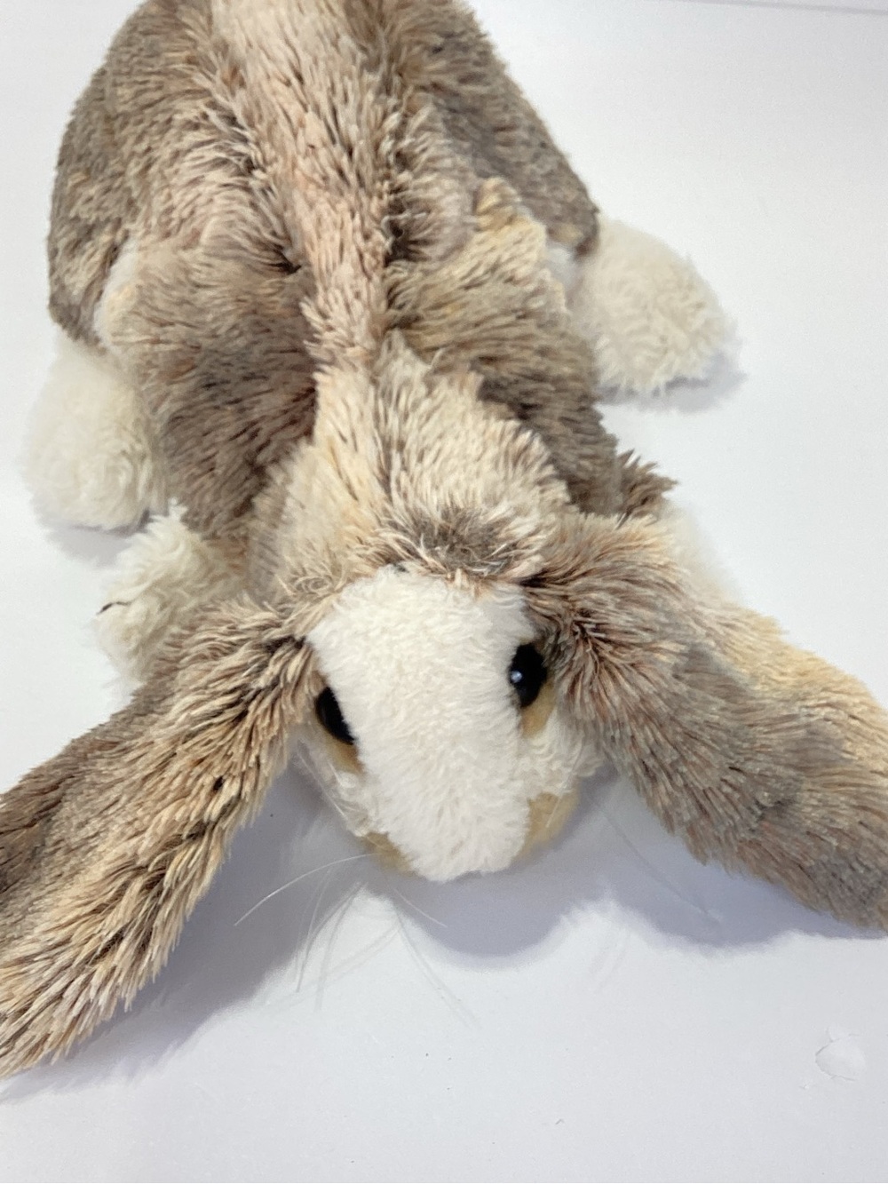 Folkmanis Puppet Baby Lop Rabbit - Picture 8 of 14